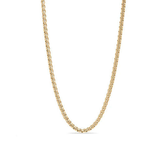 Luxe Box Chain Necklace