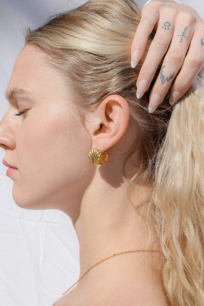 Shell Huggie Earrings
