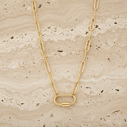 Paperclip Carabiner Necklace