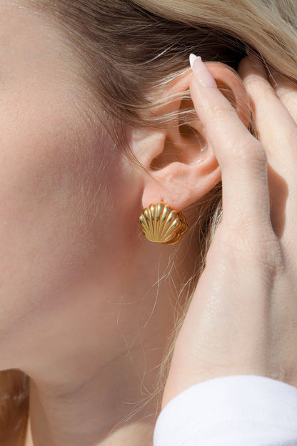 Shell Huggie Earrings